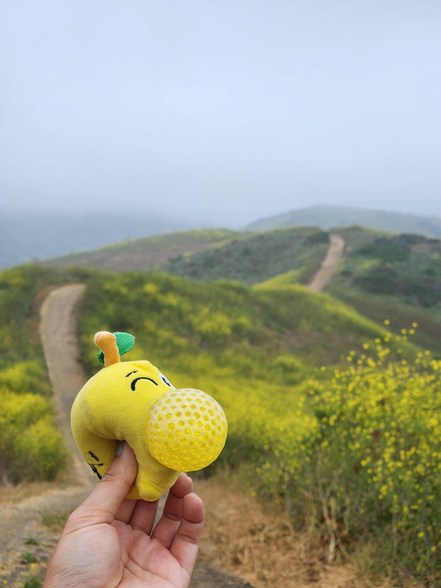 Hurly Lemon Stress Buster: Squeeze Away Anxiety & Give Back