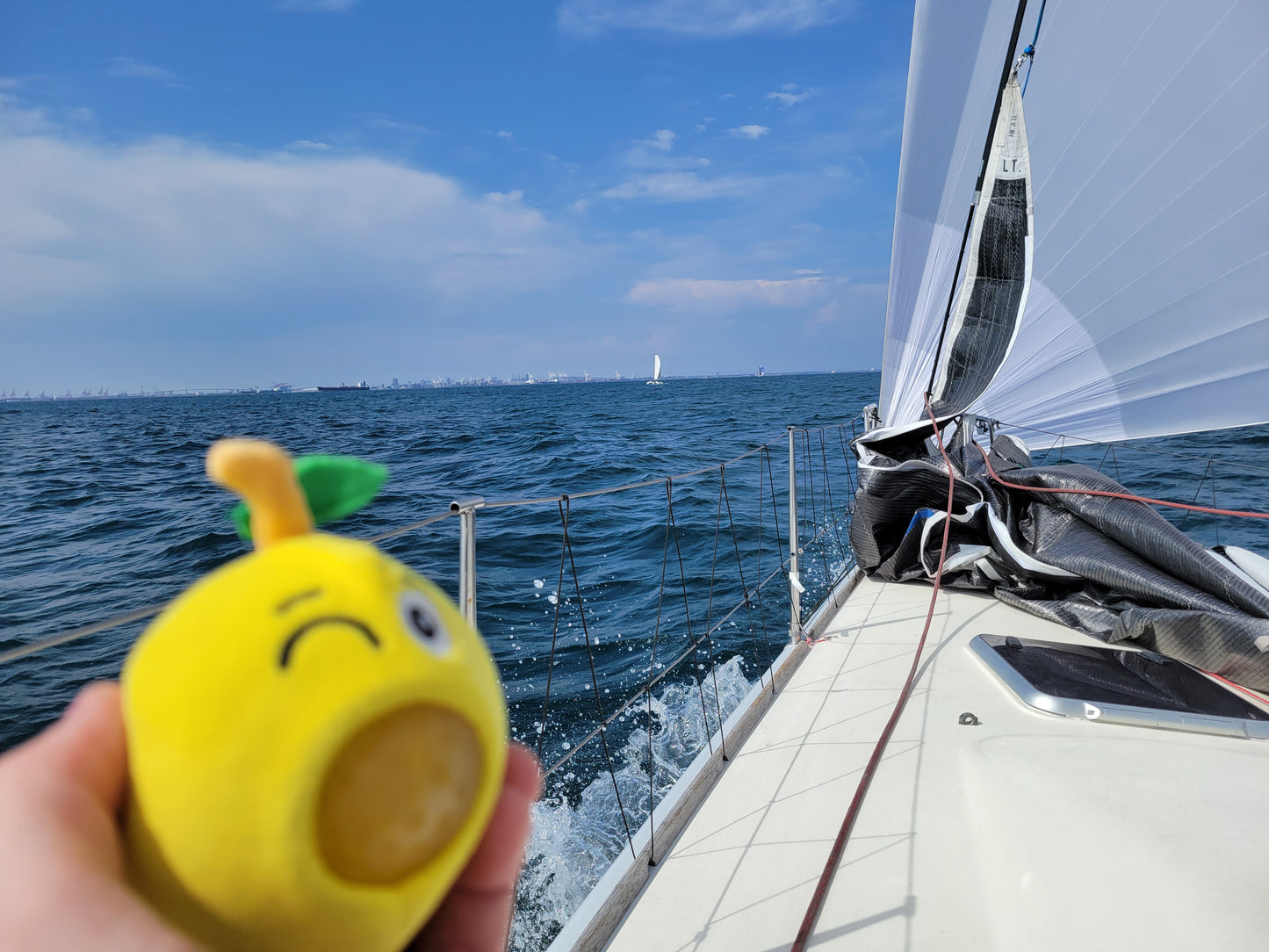 Hurly Lemon Stress Buster: Squeeze Away Anxiety & Give Back