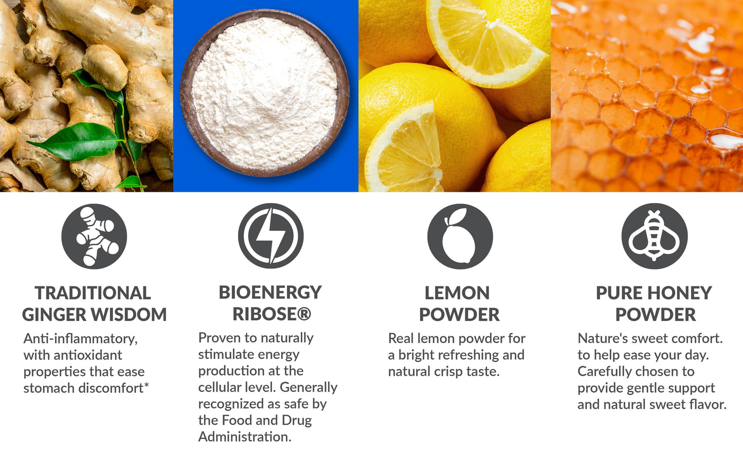Anti-Na SIPS | Therapeutic Ginger with Bioenergy Ribose® |  Powdered Drink Mix Packets | Lemon, Honey, Ginger Flavor