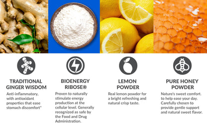Anti-Na SIPS | Therapeutic Ginger with Bioenergy Ribose® |  Powdered Drink Mix Packets | Lemon, Honey, Ginger Flavor